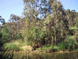 By February, this landscape will look drier